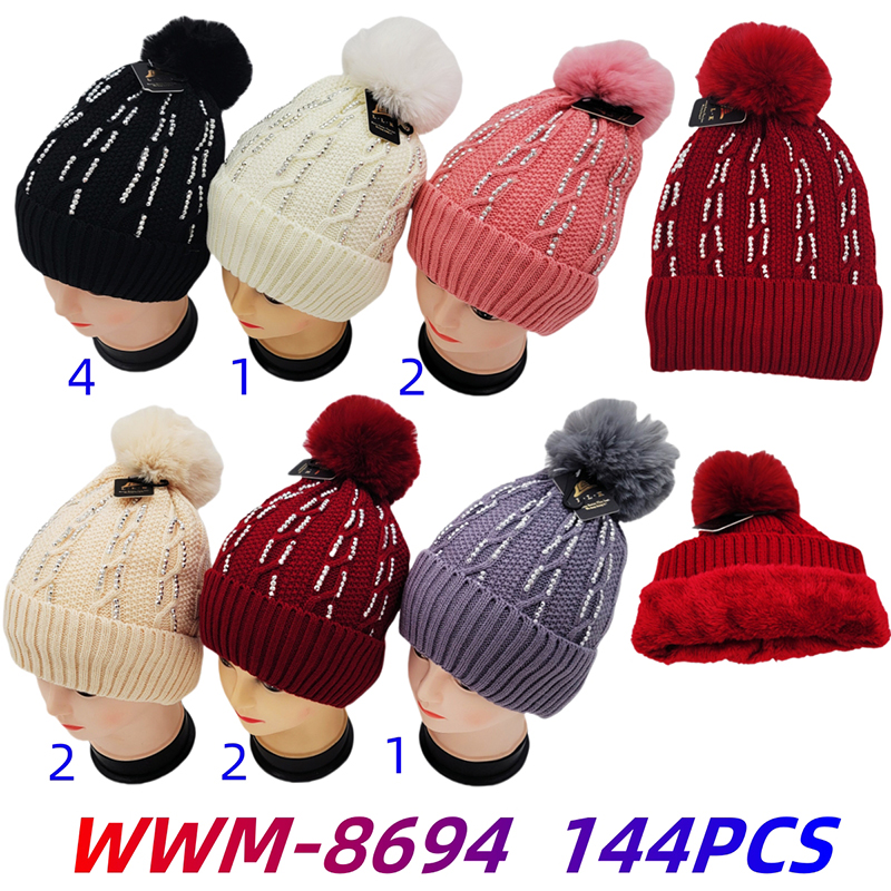 WWM-8694 CS144